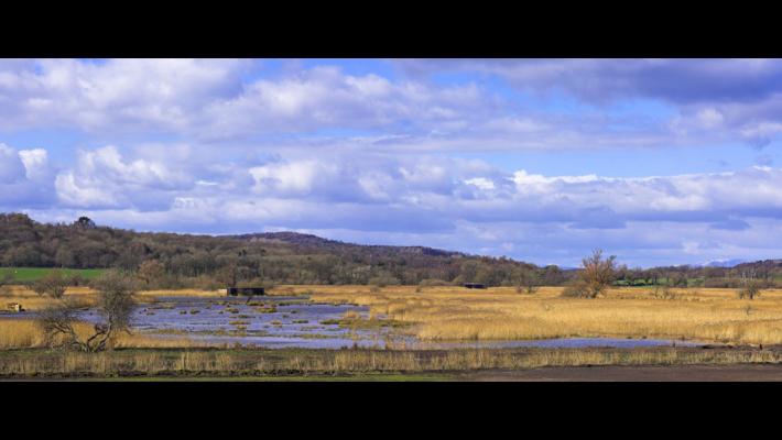 Leighton Moss © Ben Hall rspb-images.com