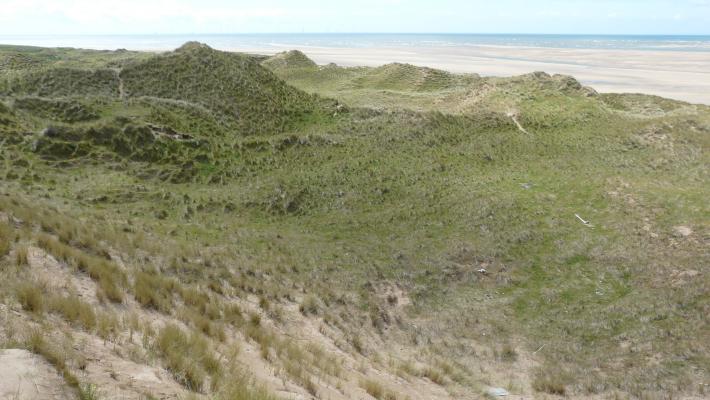 North Walney dunes © Bart Donato