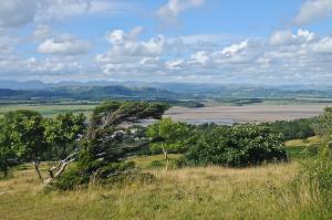 Arnside Knott © David Morris