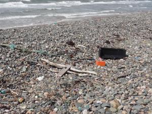 Marine litter on Walney beaches (c) MBP